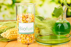 Lowestoft biofuel availability